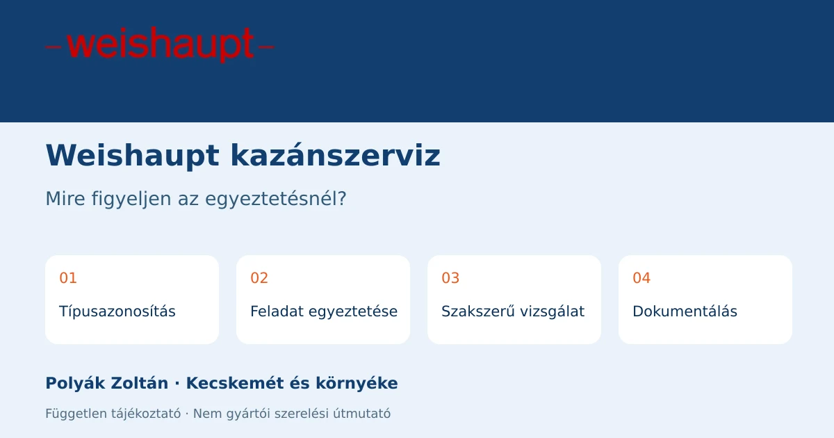 Weishaupt szerviz-egyeztetés: Típusazonosítás, Feladat egyeztetése, Szakszerű vizsgálat, Dokumentálás